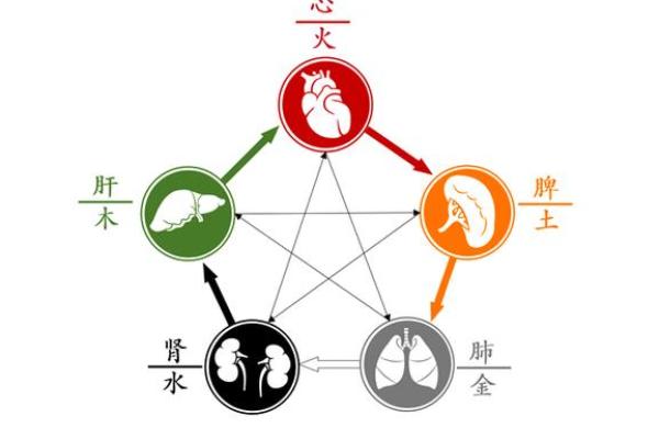 命主五行特性解析:如何利用五行平衡改善生活 命主五行特性解析:如何利用五行平衡改善生活