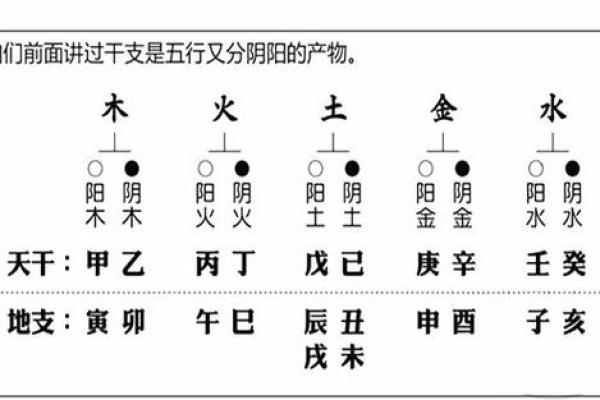 命主五行特性解析:如何利用五行平衡改善生活 命主五行特性解析:如何利用五行平衡改善生活