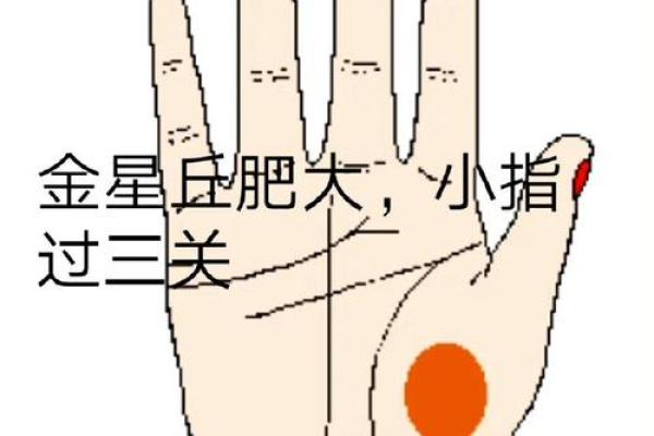 女右手大拇指的秘密:它代表了怎样的命运与个性? 女右手大拇指的秘密:它代表了怎样的命运与个性?