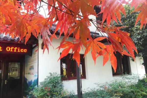 探秘九死一生天子:生肖之谜背后的惊天秘密! 探秘九死一生天子:生肖之谜背后的惊天秘密!