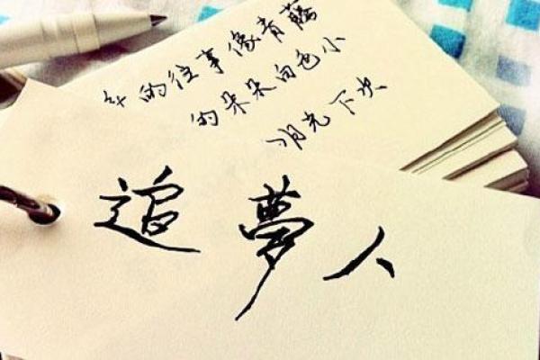 流浪的命运:在不确定中追寻希望与自由的故事 流浪的命运:在不确定中追寻希望与自由的故事