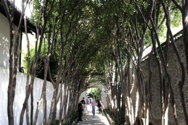大壮卦之象:勇往直前,成就自我人生的新篇章! 大壮卦之象:勇往直前,成就自我人生的新篇章!