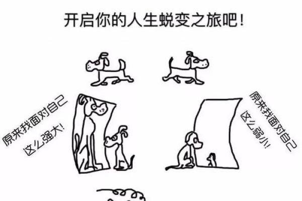 命格带解读:揭示你命运的秘密与人生的可能性 命格带解读:揭示你命运的秘密与人生的可能性