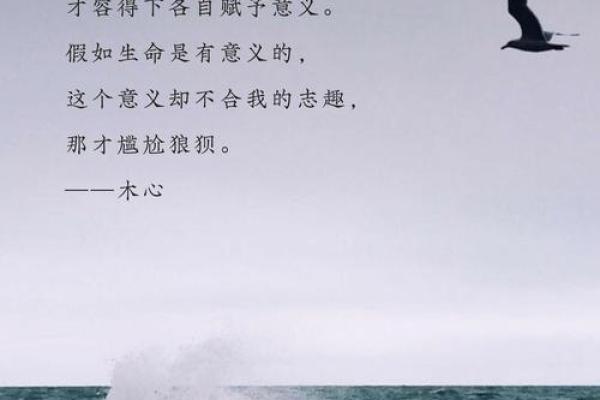 “命”字的深刻启示:探索人生的意义与价值 “命”字的深刻启示:探索人生的意义与价值