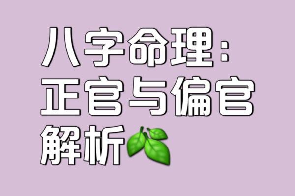 探索女命八字中的正官木:命理中的智慧与启示 探索女命八字中的正官木:命理中的智慧与启示