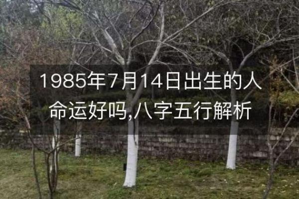 农历三月十四出生:探索命运与个性的奥秘 农历三月十四出生:探索命运与个性的奥秘