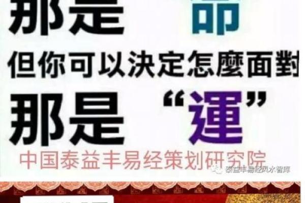 命理大师揭秘:如何通过命理排命,助你掌握人生方向 命理大师揭秘:如何通过命理排命,助你掌握人生方向