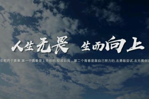 两个金命者的无畏人生:如何无惧一切挑战 两个金命者的无畏人生:如何无惧一切挑战