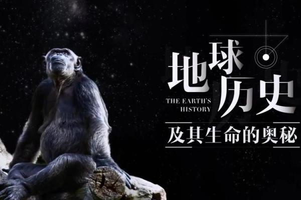 探寻龙历四月十五的命与运,揭示生命的奥秘与智慧 探寻龙历四月十五的命与运,揭示生命的奥秘与智慧