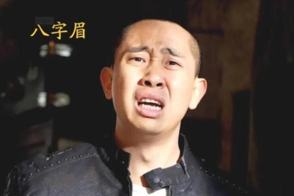 男生八字眉的命运象征与性格解析 男生八字眉的命运象征与性格解析