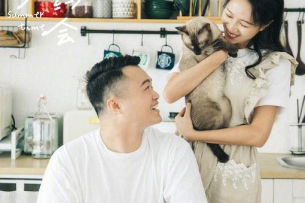 路旁土男命的宠物选择:温暖陪伴与心灵疗愈的最佳搭档 路旁土男命的宠物选择:温暖陪伴与心灵疗愈的最佳搭档