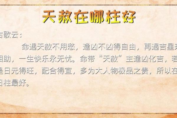 男命日柱带天赦的深意与人生启示 男命日柱带天赦的深意与人生启示