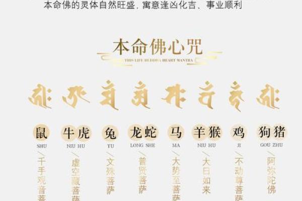 牛年已逝,新生虎年命运解析,让您的财富与运势腾飞! 牛年已逝,新生虎年命运解析,让您的财富与运势腾飞!