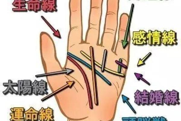 零命与六命的深奥解析——揭开命理智慧的神秘面纱 零命与六命的深奥解析——揭开命理智慧的神秘面纱