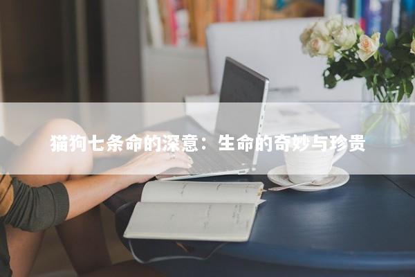 猫狗七条命的深意:生命的奇妙与珍贵 猫狗七条命的深意:生命的奇妙与珍贵