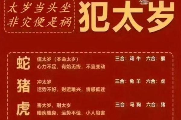 揭秘命犯太岁:你不知道的生肖与运势奥秘 揭秘命犯太岁:你不知道的生肖与运势奥秘