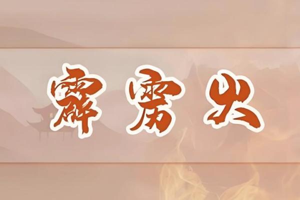 霹雳火命解析:火命之人最怕的命格与运势影响 霹雳火命解析:火命之人最怕的命格与运势影响