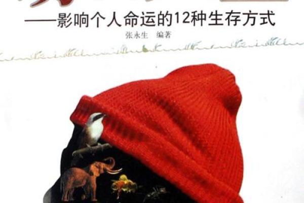 命主星木星相位的奥秘:如何解锁人生的成功之道 命主星木星相位的奥秘:如何解锁人生的成功之道