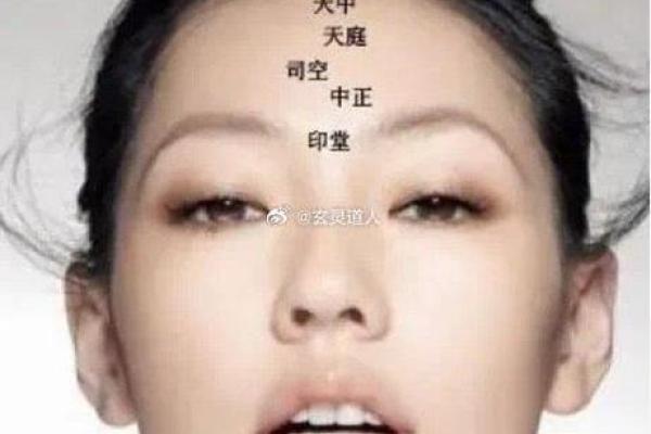 面相学揭秘:额头的奥秘与命运的关联 面相学揭秘:额头的奥秘与命运的关联