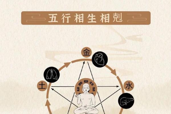 命局中喜水木,探寻五行之美与人生智慧 命局中喜水木,探寻五行之美与人生智慧