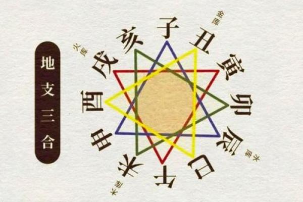酉的魅力:男命地支酉的深刻内涵与人生启示 酉的魅力:男命地支酉的深刻内涵与人生启示
