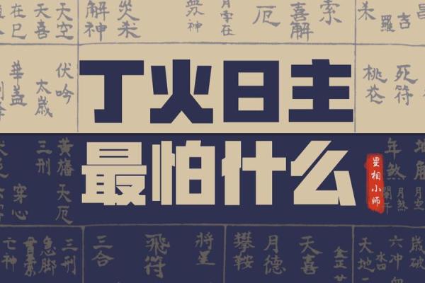 探寻八字命理之奥秘:适合入门的书籍推荐 探寻八字命理之奥秘:适合入门的书籍推荐