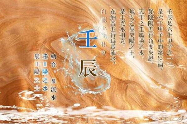 探秘命格:从五行看透你的命运与人生轨迹 探秘命格:从五行看透你的命运与人生轨迹