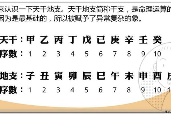 女命八字解析:揭示生活、感情与事业的秘密之窗 女命八字解析:揭示生活、感情与事业的秘密之窗
