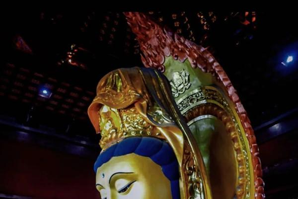 命里没有婚姻:解读背后深意与人生启示 命里没有婚姻:解读背后深意与人生启示