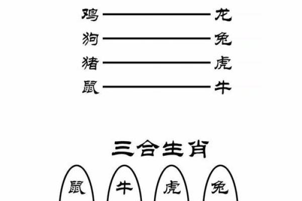命理与生肖:两手腾空背后的生肖密码解读 命理与生肖:两手腾空背后的生肖密码解读