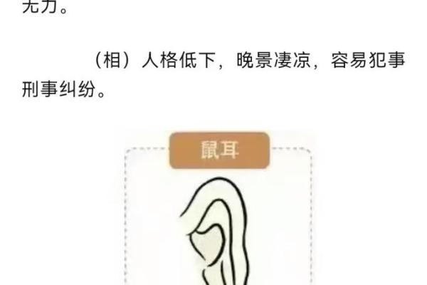 耳朵相面:从耳朵看出人生的秘密与命运 耳朵相面:从耳朵看出人生的秘密与命运