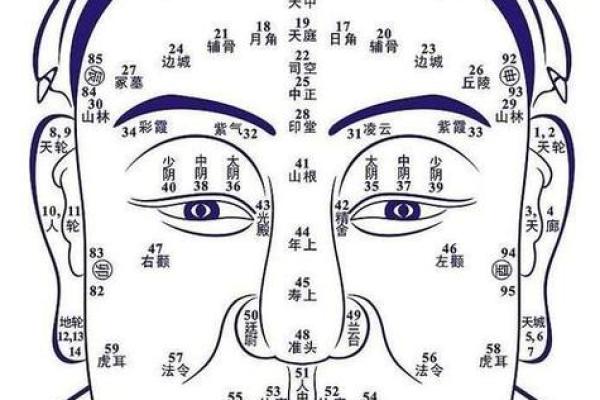 耳朵相面:从耳朵看出人生的秘密与命运 耳朵相面:从耳朵看出人生的秘密与命运