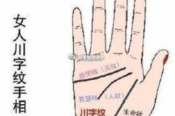女人川字纹手相解析:揭秘她们的命运与个性特征 女人川字纹手相解析:揭秘她们的命运与个性特征
