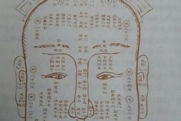 面相与流年:如何通过女人的面相解密命运的变迁? 面相与流年:如何通过女人的面相解密命运的变迁?