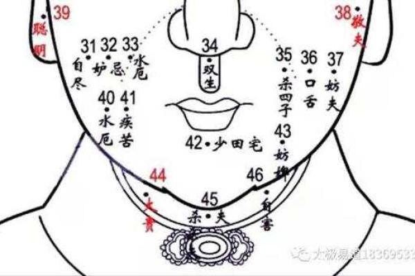 面相与流年:如何通过女人的面相解密命运的变迁? 面相与流年:如何通过女人的面相解密命运的变迁?