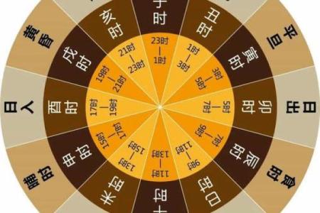 1996年六月出生的命格解析与命运展望