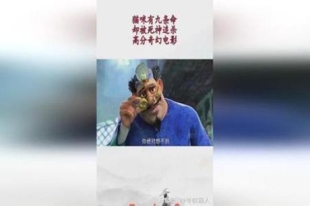 猫咪的九条命：探索神秘与传奇的背后故事