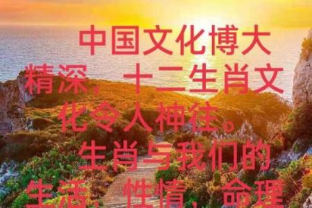 了解木命格：寻找命理中的完美伴侣与合作伙伴