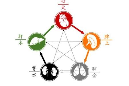 命主五行特性解析：如何利用五行平衡改善生活