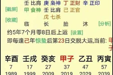 命理中的偏印解析：理解偏印的象征意义与人生影响