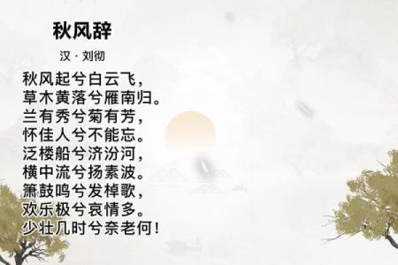 刘彻：汉武帝命格解析与人生轨迹的启示