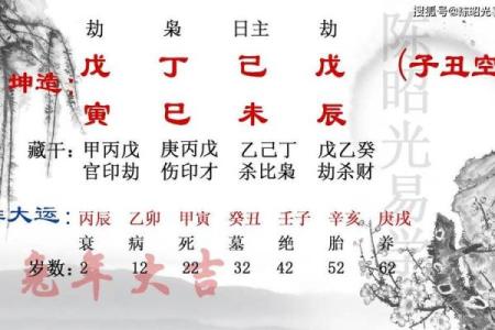探索女命八字中的正官木：命理中的智慧与启示