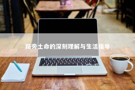 路旁土命的深刻理解与生活指导