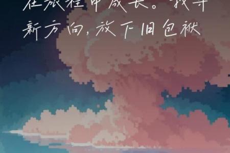 没妈的人都是什么命：探索孤独与成长的旅程
