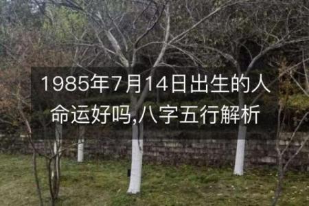 农历三月十四出生：探索命运与个性的奥秘