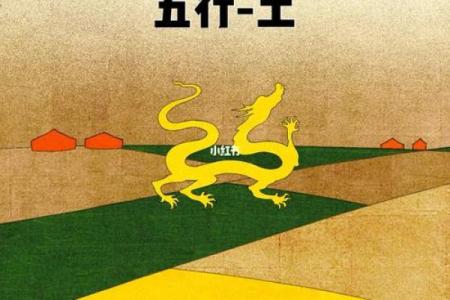 路旁土命的五行缺失与补救措施探寻