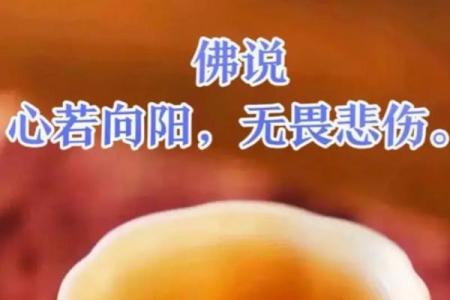 两个金命者的无畏人生：如何无惧一切挑战