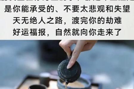 没有孩子的命与佛家的命：探索生命的意义与价值