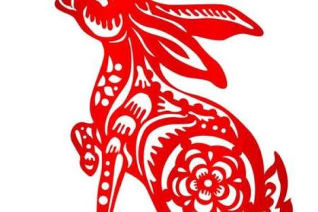 卯时出生的兔子，狗年命格解析：草地上的幸福与挑战