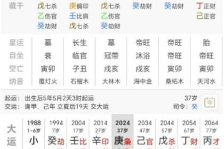 命格中的食神，解密食神的含义与运用